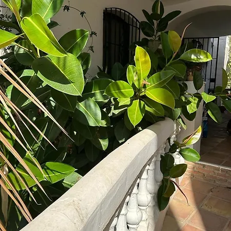 Monte Cielo